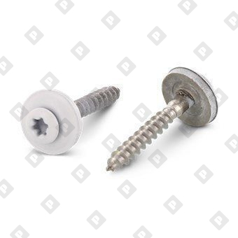 Art. 9087 A2 4,5X60 TX20 - RAL 9010 - №1